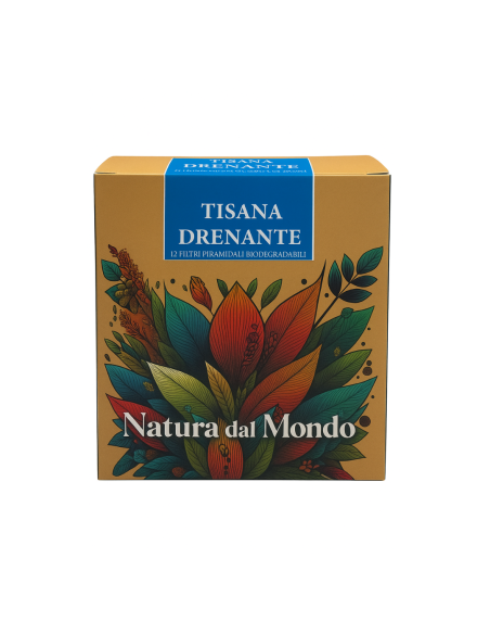 Filtri Piramidali seta TISANA DRENANTE 2,5 gr - 12 pz