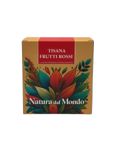 Filtri Piramidali seta INFUSO FRUTTI ROSSI 2,5 gr - 12 pz