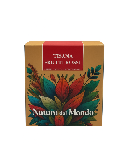Filtri Piramidali seta INFUSO FRUTTI ROSSI 2,5 gr - 12 pz