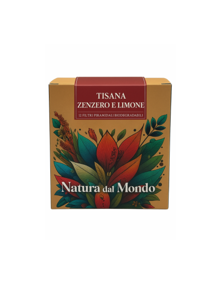 Filtri Piramidali seta TISANA ZENZERO E LIMONE 2,5 gr - 12 pz