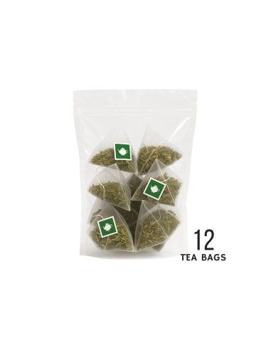 Filtri Piramidali seta TISANA DEPURATIVA 2,5 gr - 12 pz