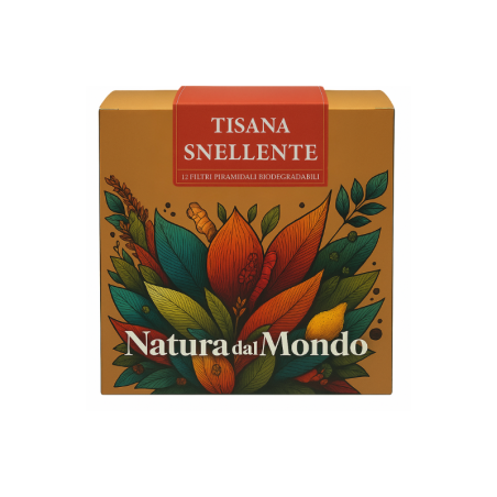 Tisana Filtri Piramidali seta TISANA SNELLENTE 2,5 gr - 12 pz