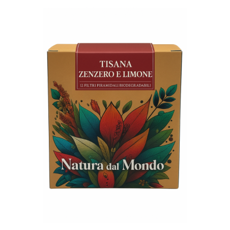 Tisana Filtri Piramidali seta TISANA ZENZERO E LIMONE 2,5 gr - 12 pz